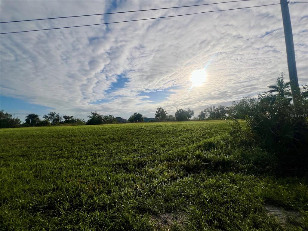 A grassy, open lot under a bright, cloudy sky with a utility pole on the right — 1229 NE 13TH PLACE, CAPE CORAL, FL