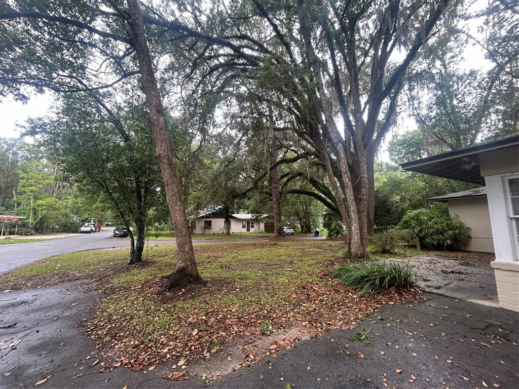 A view of a grassy front yard with large trees and a house in the background — 2704 NW 1ST AVENUE, GAINESVILLE, FL