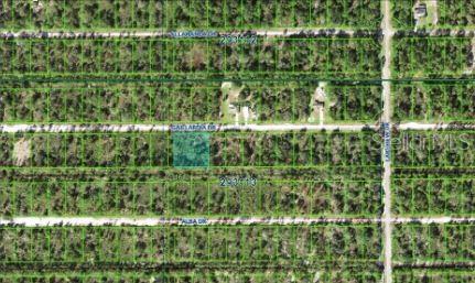 An aerial map view shows a highlighted vacant lot situated between two dirt roads — 1023 GALLARDIA DRIVE, INDIAN LAKE ESTATES, FL