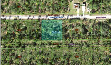 This is an aerial map showing a highlighted vacant residential lot along a paved road — 1023 GALLARDIA DRIVE, INDIAN LAKE ESTATES, FL