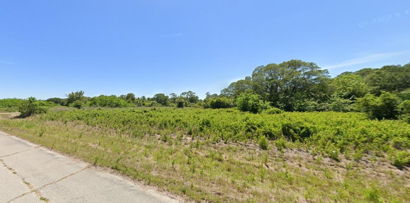 A vacant, grassy lot with scattered shrubs and trees borders a paved road — 1116 Silverfish Drive, FL 33935, FL