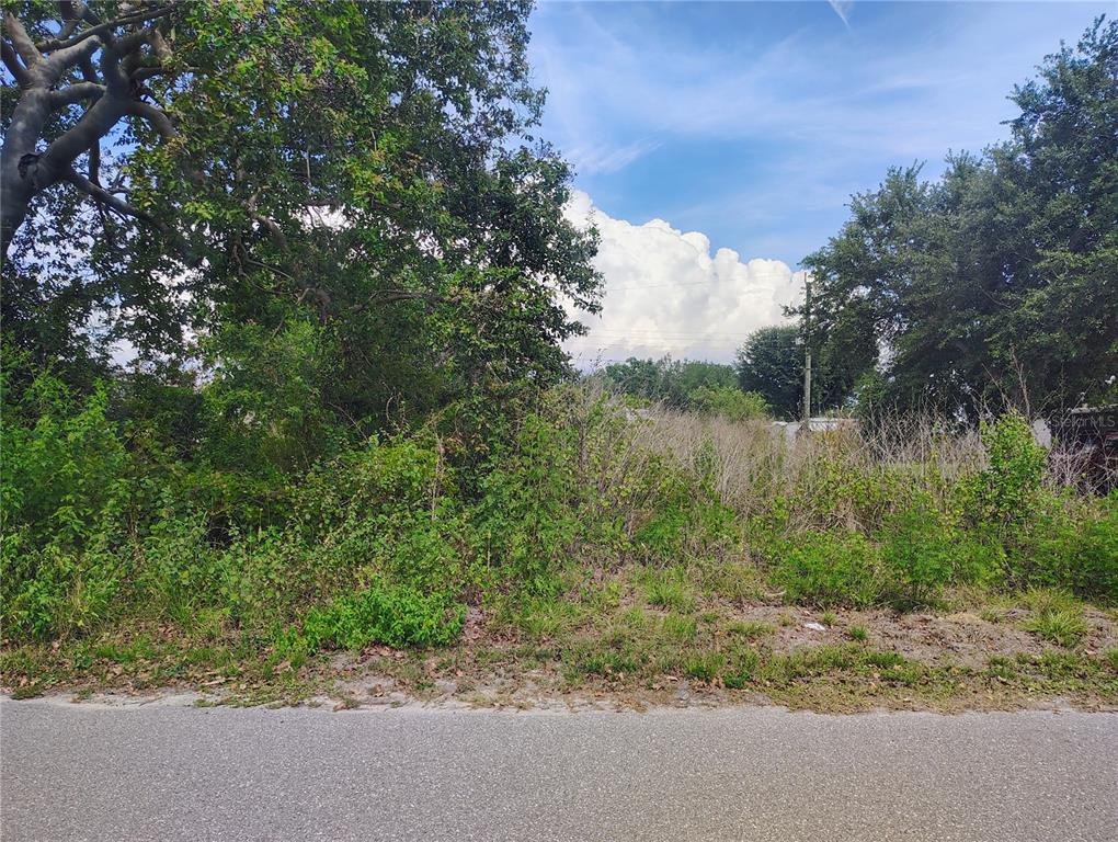 A vacant, overgrown lot with trees and shrubs sits beside a paved road — 9284 MANDY STREET, PUNTA GORDA, FL