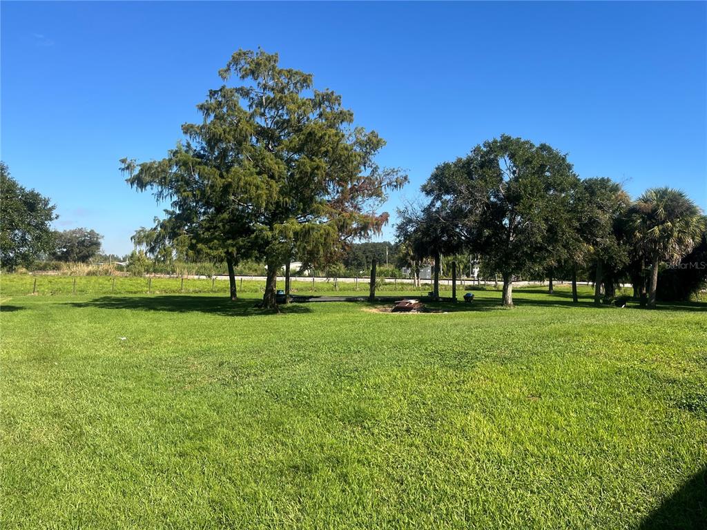 A grassy backyard features several large trees and a wire fence under a clear sky — 1145 YAUN ROAD, MOORE HAVEN, FL
