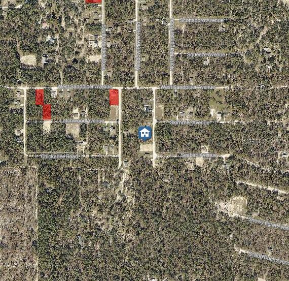 This is an aerial map showing residential lots and streets in a wooded area — LOT 14 MAGDALENA ROAD, WEEKI WACHEE, FL