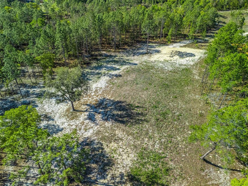 An aerial view of a cleared, sandy plot of land surrounded by dense pine trees — 2395 NW 81ST AVENUE, WILDWOOD, FL