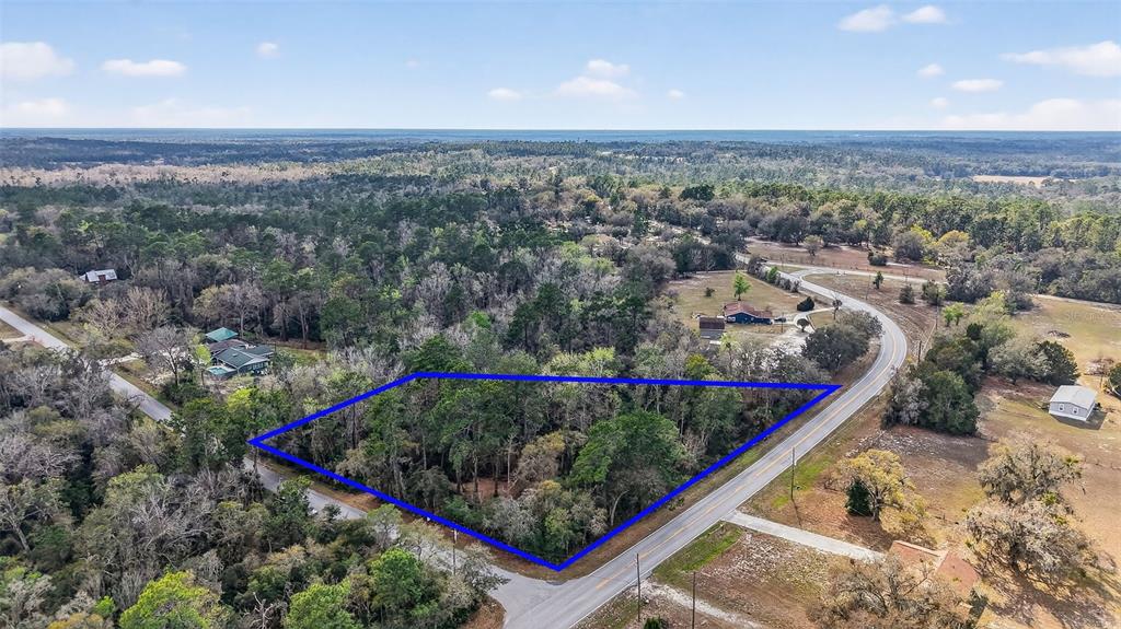 An aerial view shows a wooded, triangular plot of land outlined in blue beside roads — POWELL ROAD, BROOKSVILLE, FL