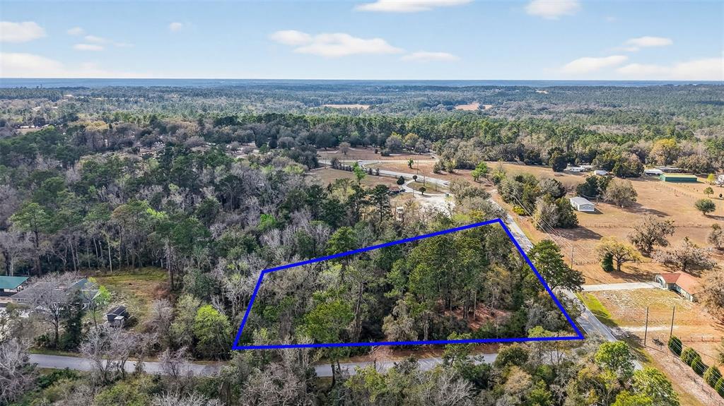 An aerial view shows a wooded, trapezoidal plot of land outlined in blue near a road — POWELL ROAD, BROOKSVILLE, FL