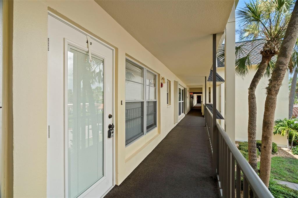 An exterior walkway with a white door, windows, and a metal railing overlooking palm trees — 4780 COVE CIRCLE UNIT 205, ST PETERSBURG, FL