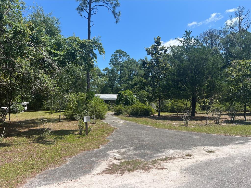 A long paved driveway leads through a wooded lot toward a house in the distance — 203 SE 45 AVENUE, CROSS CITY, FL