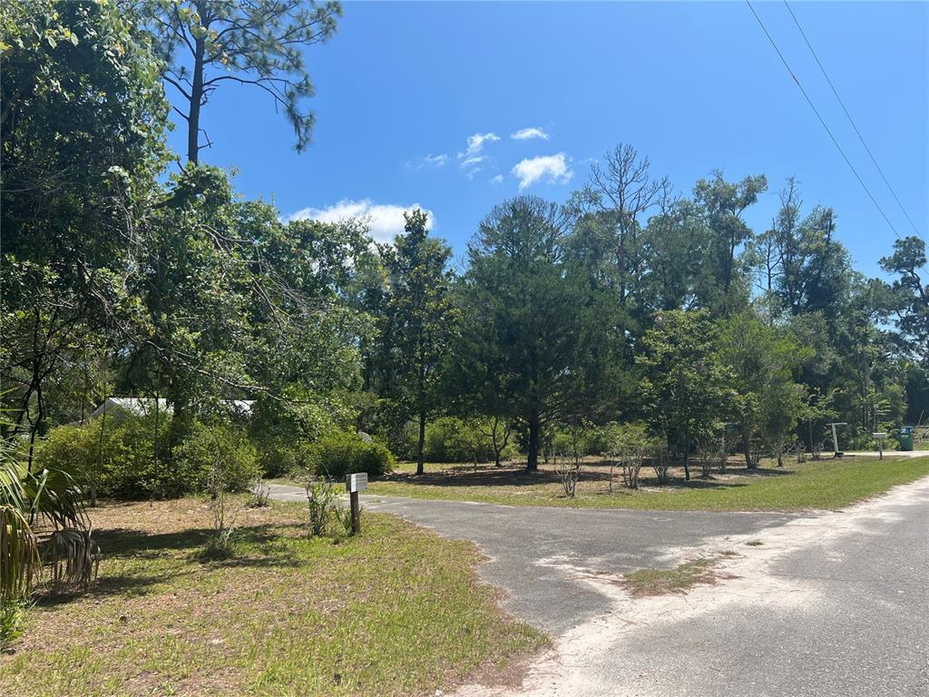 A paved driveway leads to a wooded lot with various trees and shrubs — 203 SE 45 AVENUE, CROSS CITY, FL
