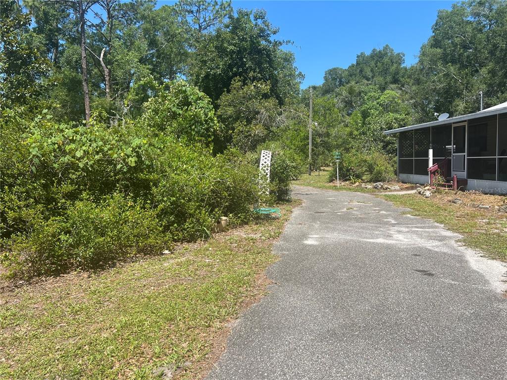 A paved driveway leads toward a house with a screened-in porch surrounded by dense trees — 203 SE 45 AVENUE, CROSS CITY, FL