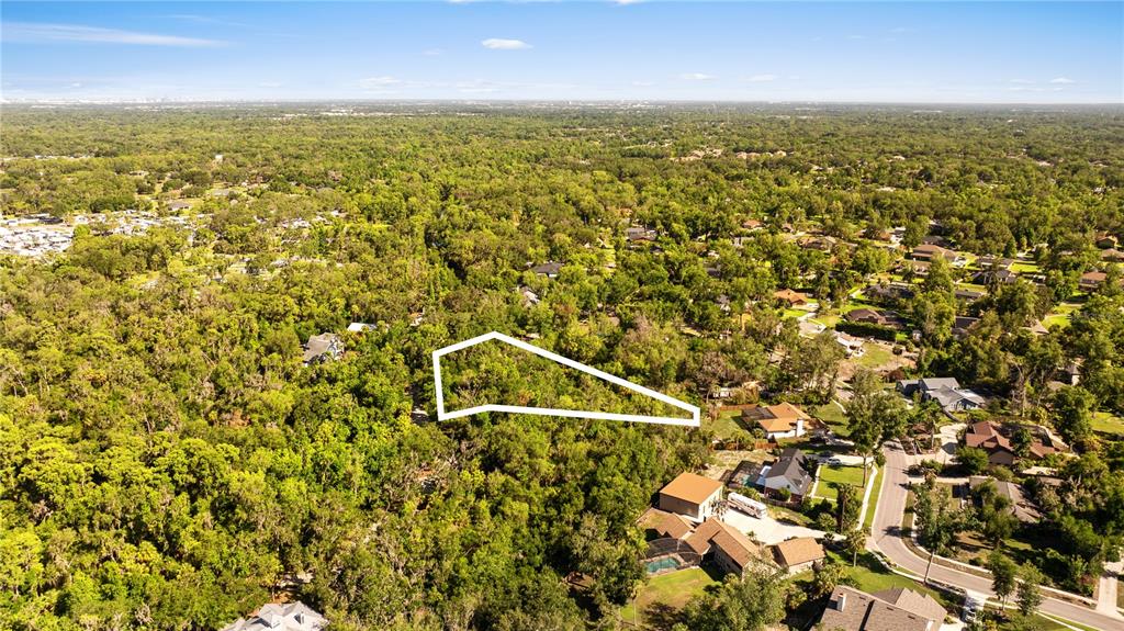 An aerial view shows a wooded residential lot outlined in white amidst surrounding houses — 4710 RAMBLING RIVER ROAD, BRANDON, FL