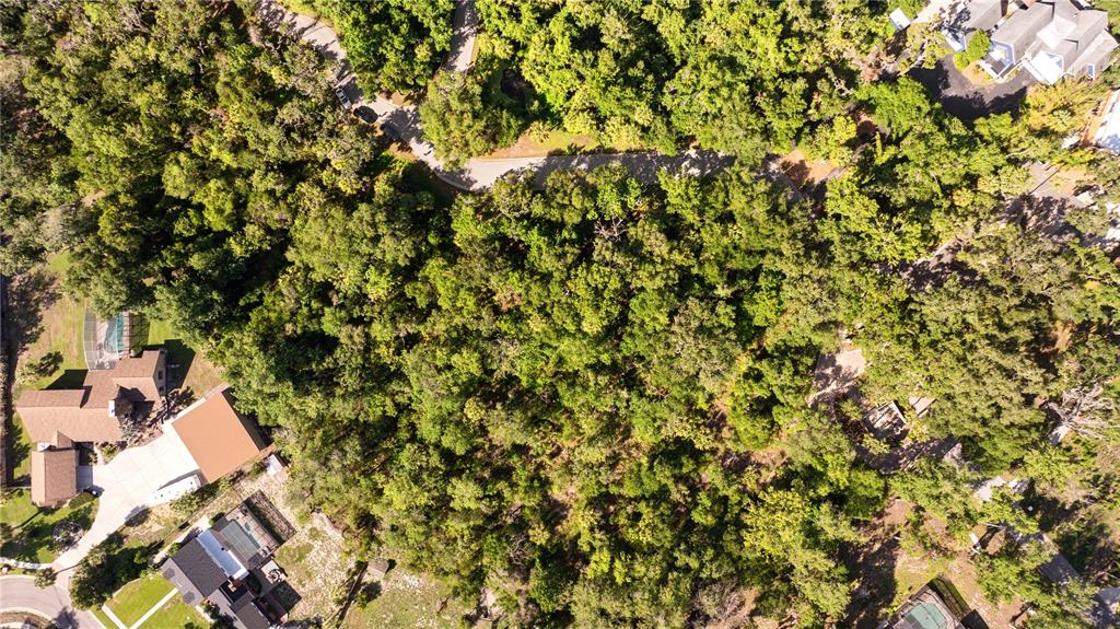An aerial view shows a wooded lot surrounded by residential houses and a curved road — 4710 RAMBLING RIVER ROAD, BRANDON, FL