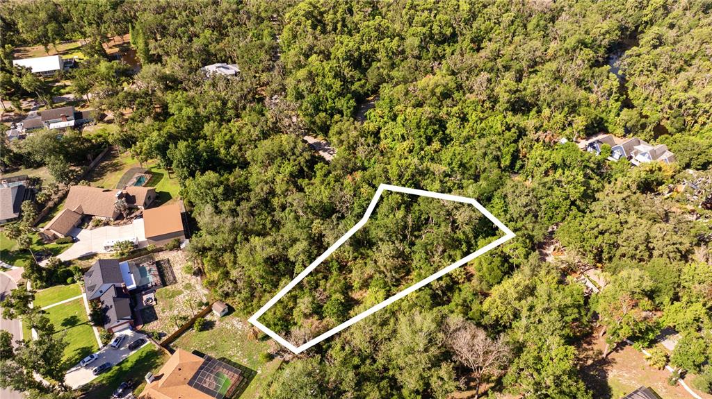 An aerial view shows a wooded, undeveloped lot outlined in white within a residential neighborhood — 4710 RAMBLING RIVER ROAD, BRANDON, FL