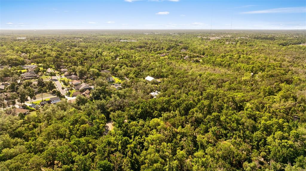 An aerial view shows a residential neighborhood bordering a large, dense forest area — 4710 RAMBLING RIVER ROAD, BRANDON, FL