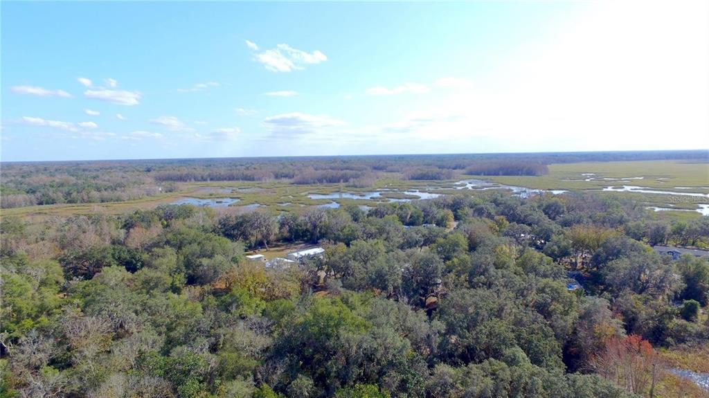 An aerial view shows a wooded residential area bordering a large marshland under a blue sky — 11142 E SAILFISH WAY, FLORAL CITY, FL