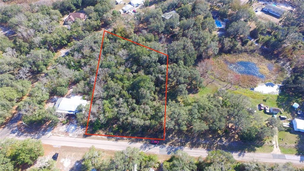 An aerial view shows a wooded, rectangular plot of land outlined in red near a road — 11142 E SAILFISH WAY, FLORAL CITY, FL