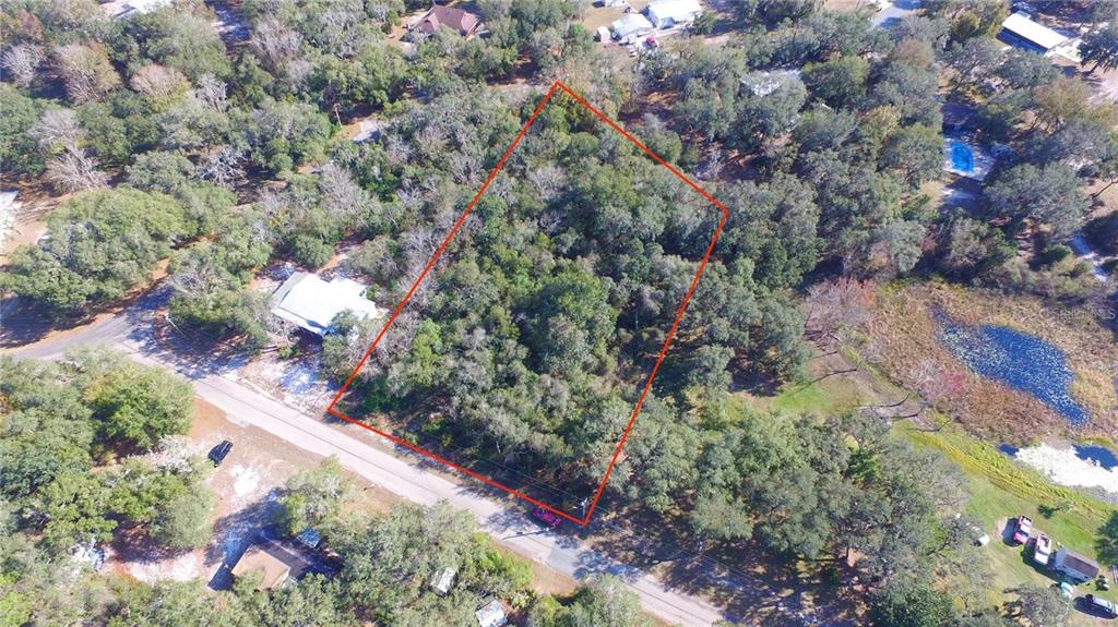 An aerial view shows a wooded, rectangular plot of land outlined in red near a road — 11142 E SAILFISH WAY, FLORAL CITY, FL