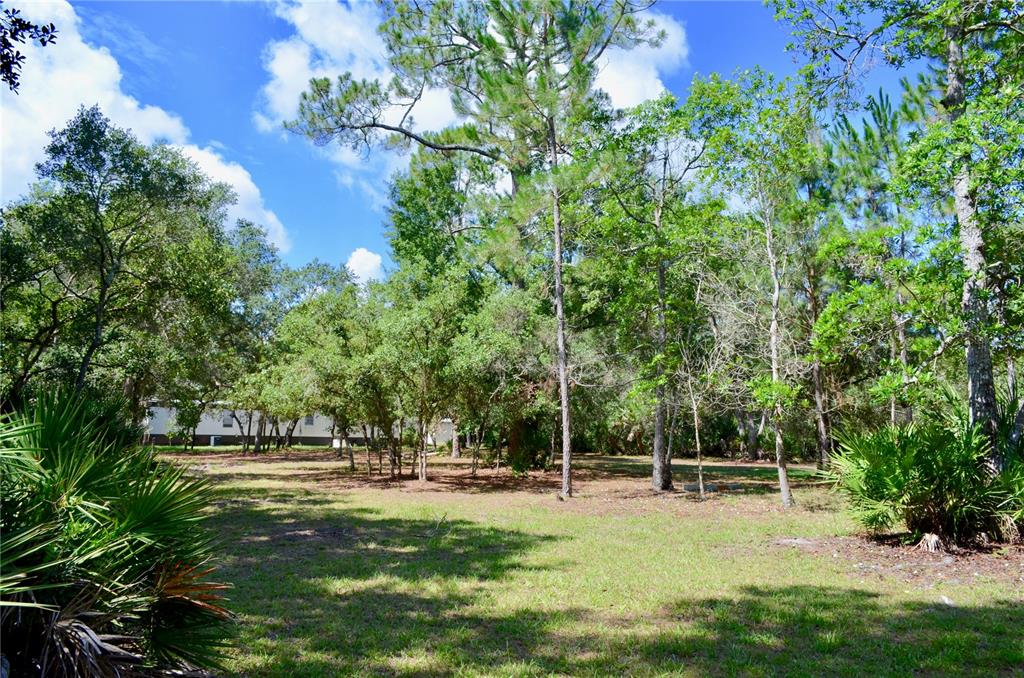 A grassy, wooded lot features scattered trees and a glimpse of a house in back — 33135 FOREST RIDGE ROAD, DELAND, FL
