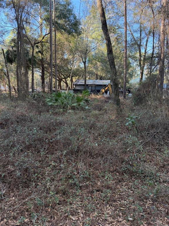 A small, weathered wooden structure sits in a wooded lot with dense underbrush — TBD NE 150 AVENUE, FORT MC COY, FL