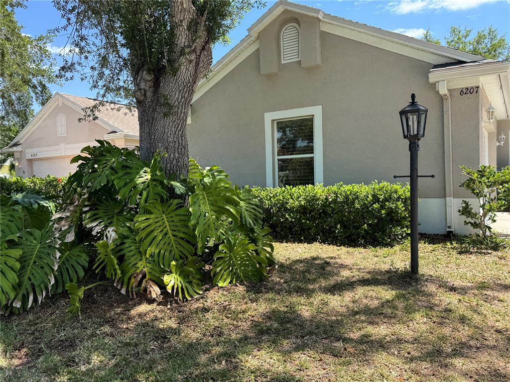 A large monstera plant grows at the base of a tree in front of a house — 6207 TUPELO TRAIL, LAKEWOOD RANCH, FL