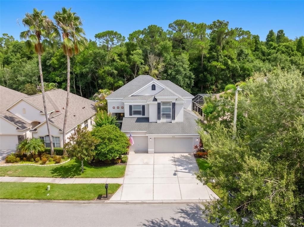 An aerial view of a two-story suburban house with a concrete driveway and palm trees — 9706 GRETNA GREEN DRIVE, TAMPA, FL