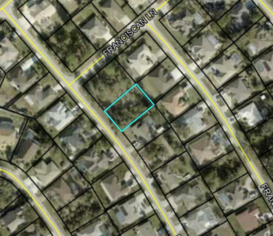 This is an aerial map view showing a vacant residential lot outlined in light blue — 19 FREEPORT LANE, PALM COAST, FL