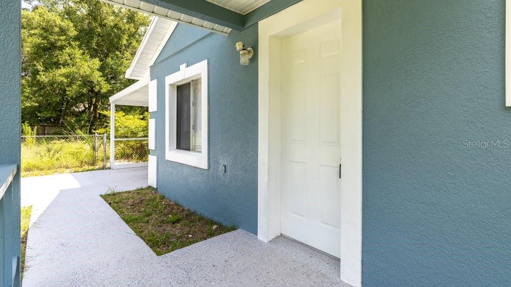 A blue exterior wall features a white door, a window, and a concrete porch area — 31128 LOCHMORE CIRCLE, SORRENTO, FL