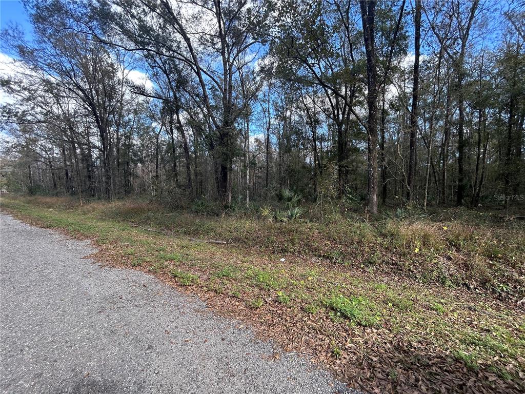 10040 MCMAHON AVENUE, HASTINGS, FL — photo 2 of 11