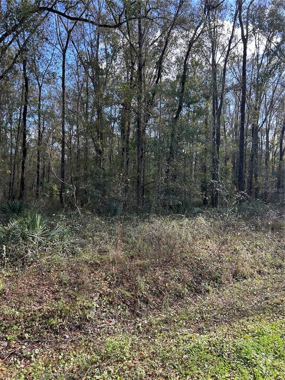 10040 MCMAHON AVENUE, HASTINGS, FL — photo 3 of 11