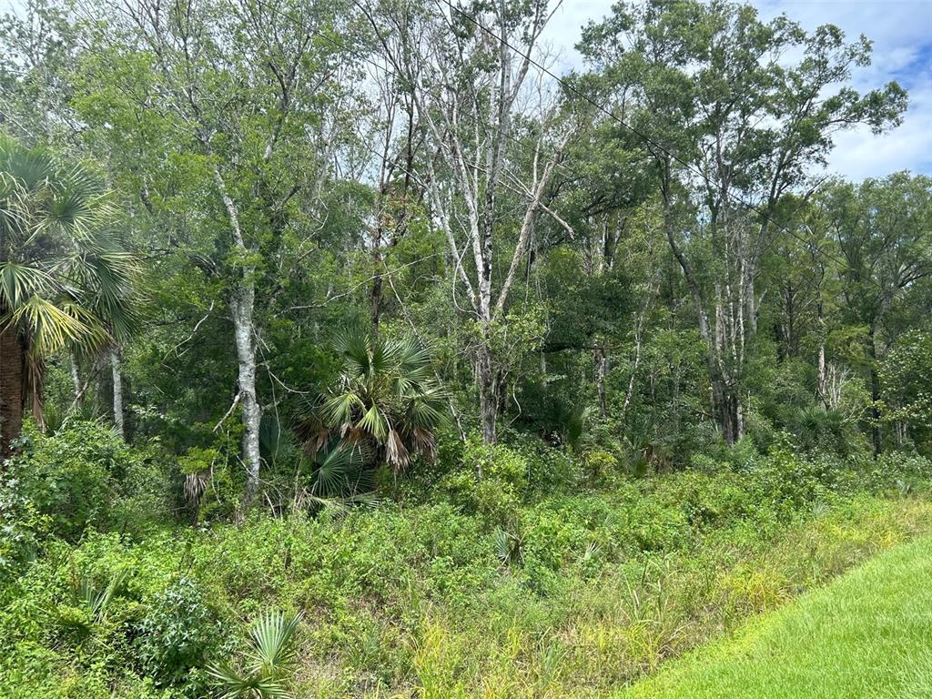 10040 MCMAHON AVENUE, HASTINGS, FL — photo 4 of 11