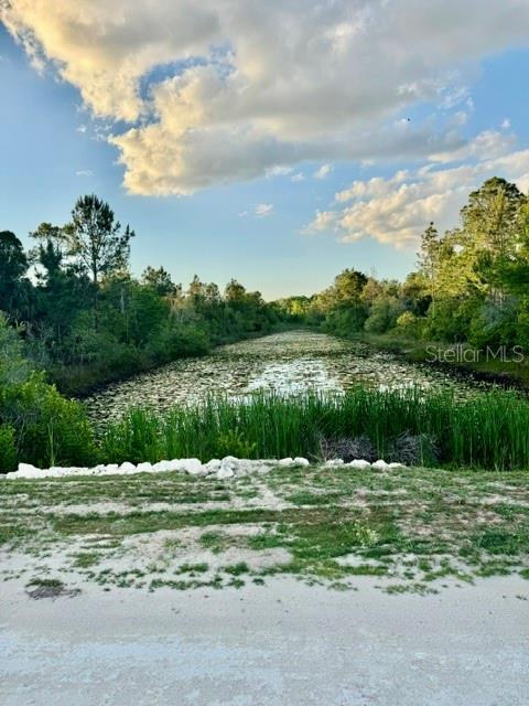 A view of a pond covered in lily pads surrounded by trees and tall grasses — RAPIDAN ROAD, WEEKI WACHEE, FL