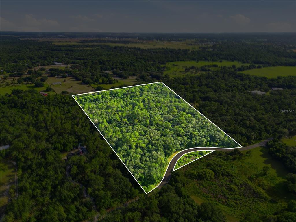 An aerial view shows a wooded plot of land outlined in white along a road — HORSESHOE CREEK ROAD, DAVENPORT, FL