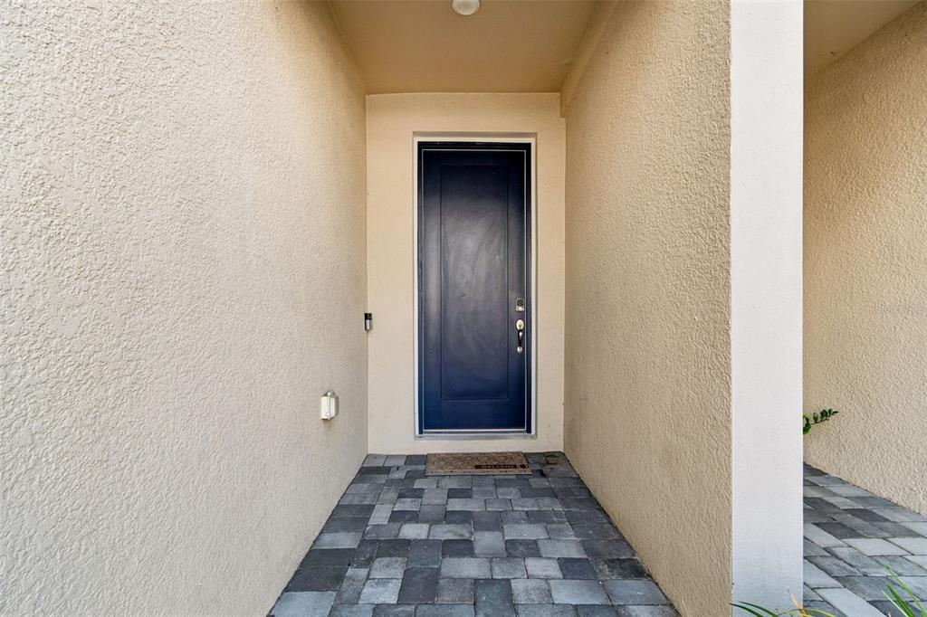 A dark blue front door sits at the end of a paved entryway with stucco walls — 4286 CLOUD HOPPER WAY, LUTZ, FL