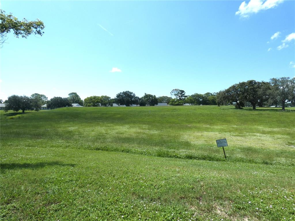 A large, grassy, sloped vacant lot features scattered trees under a clear blue sky — 11231 DOLLAR LAKE DRIVE UNIT 6, PORT RICHEY, FL