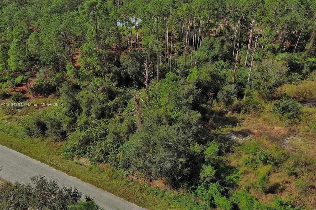 An aerial view shows a wooded lot with a paved road in the foreground — 1515 GLENN AVENUE, LEHIGH ACRES, FL