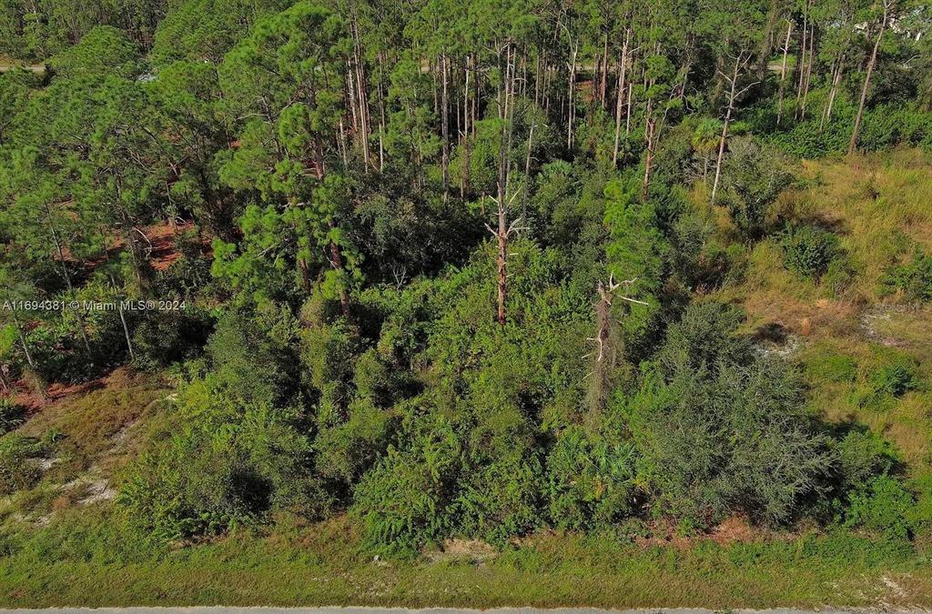 An aerial view shows a densely wooded, undeveloped plot of land with tall pine trees — 1515 GLENN AVENUE, LEHIGH ACRES, FL