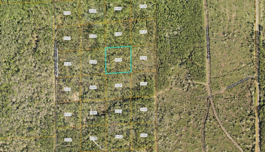 This is an aerial map showing a highlighted land parcel among surrounding wooded lots — LAKE HARNEY ROAD, OSTEEN, FL