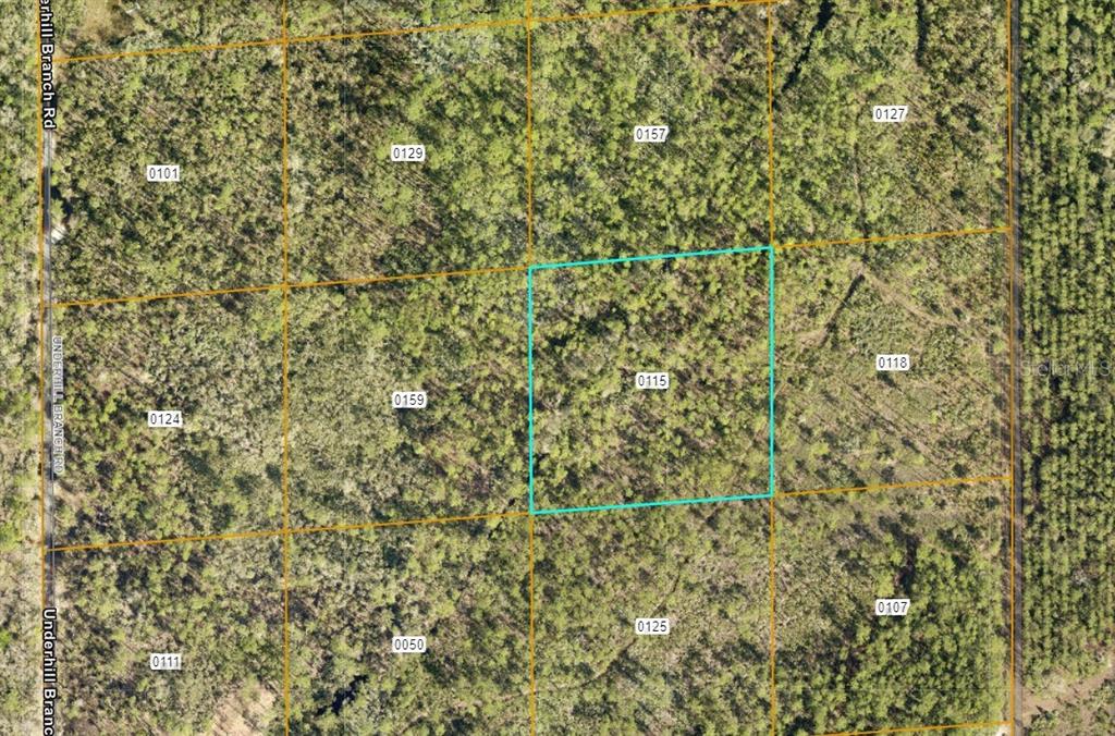 This is an aerial map showing a highlighted parcel of land surrounded by wooded lots — LAKE HARNEY ROAD, OSTEEN, FL
