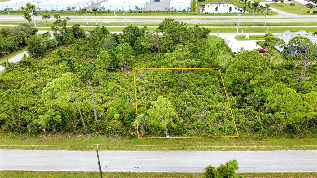 An aerial view shows a rectangular, undeveloped wooded lot outlined in yellow near a road — 8185 DIMSTEAD STREET, PORT CHARLOTTE, FL