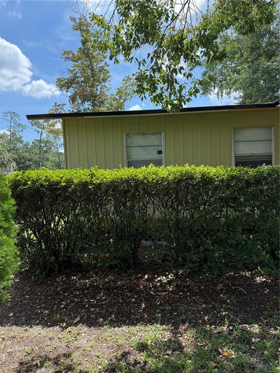 A yellow mobile home exterior features two windows partially obscured by a large green hedge — 917 NE 25TH STREET, GAINESVILLE, FL