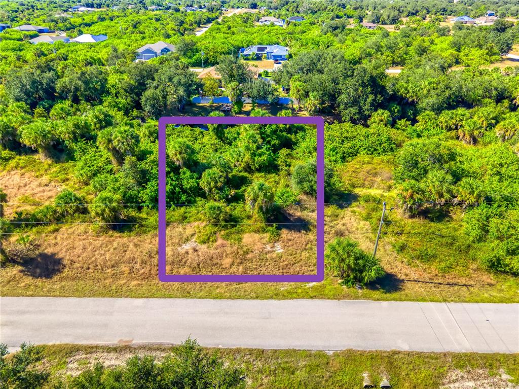 An aerial view shows a rectangular plot of land highlighted by a purple border — 163 SANTA MARTA STREET, PORT CHARLOTTE, FL
