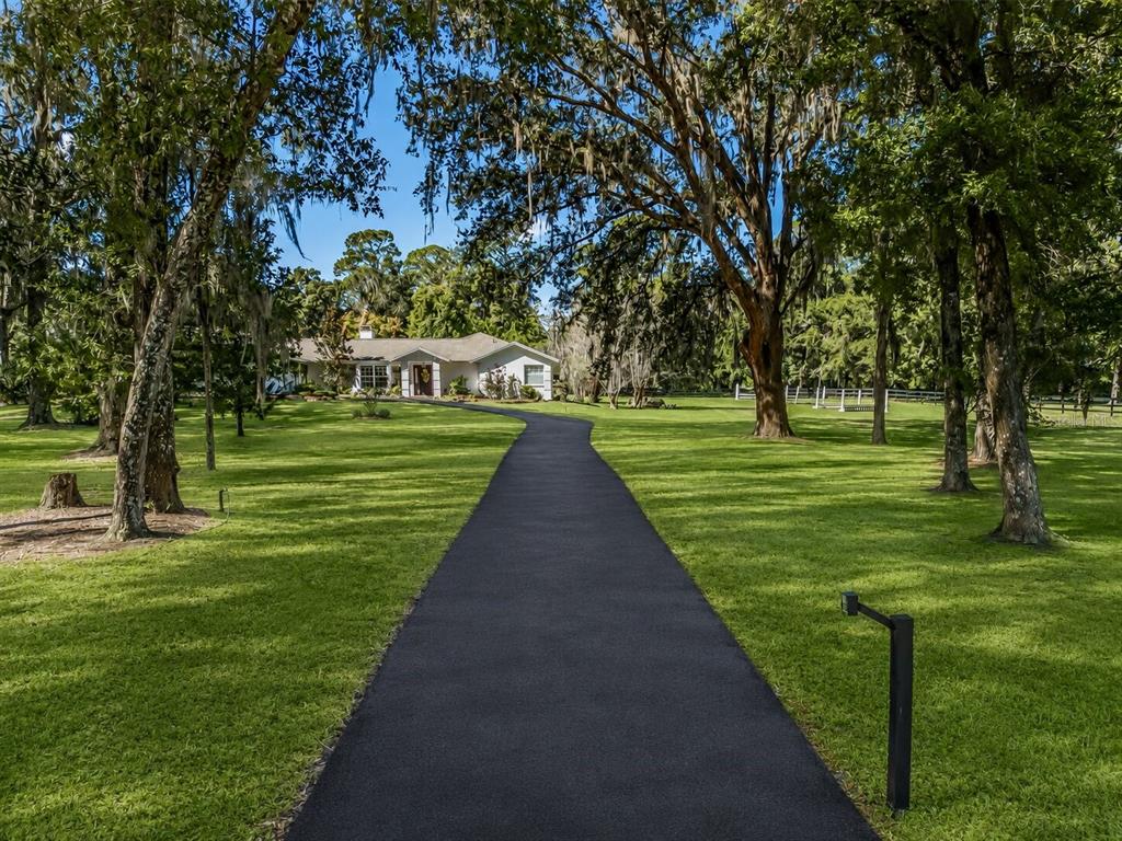 A paved driveway leads through a grassy, tree-lined yard toward a single-story house — 22 WOOD RIDGE DRIVE, OCALA, FL