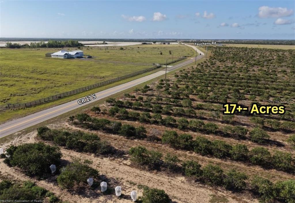 An aerial view shows a large agricultural plot with rows of trees beside a road — 8961 COUNTY ROAD 17 S, SEBRING, FL
