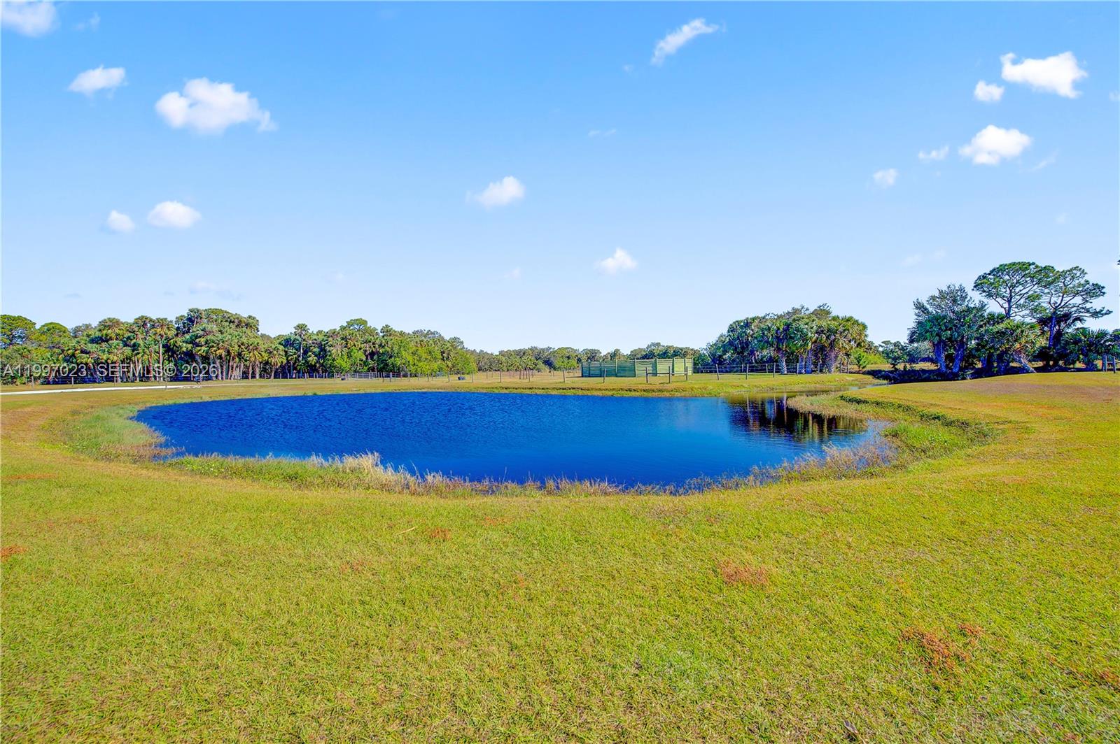 A large pond sits in the center of a grassy field under a blue sky — 30003 SW Martin Hwy, Okeechobee FL 34974, OKEECHOBEE, FL