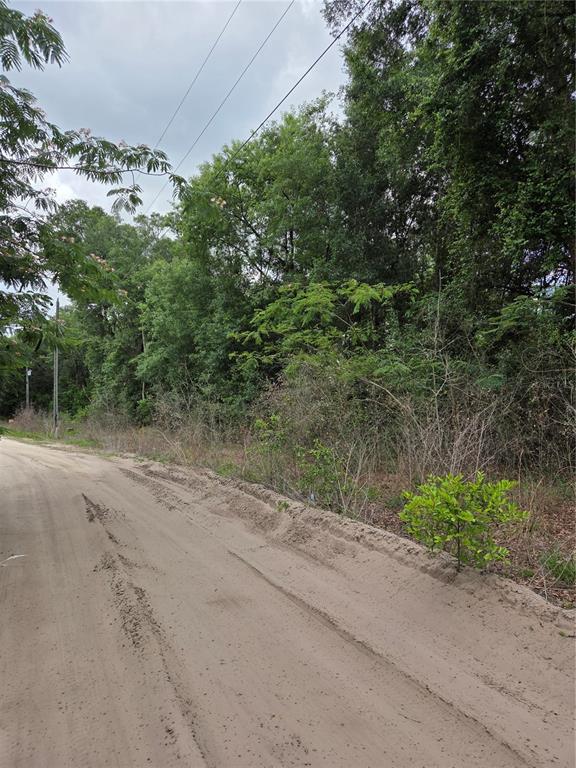 A dirt road runs alongside a wooded lot with dense trees and overhead power lines — Unit 17 SE 142 PLACE, SUMMERFIELD, FL