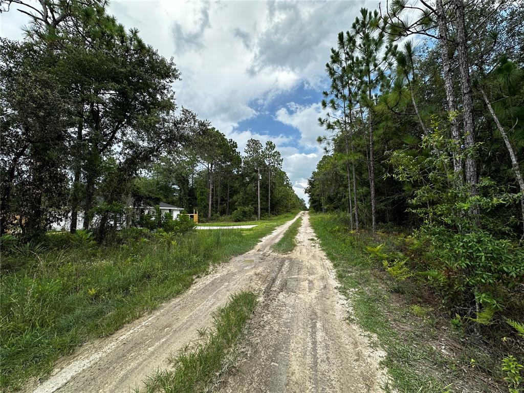 A dirt road leads through a wooded area toward a house under a cloudy sky — TBD NE 15TH LANE, WILLISTON, FL