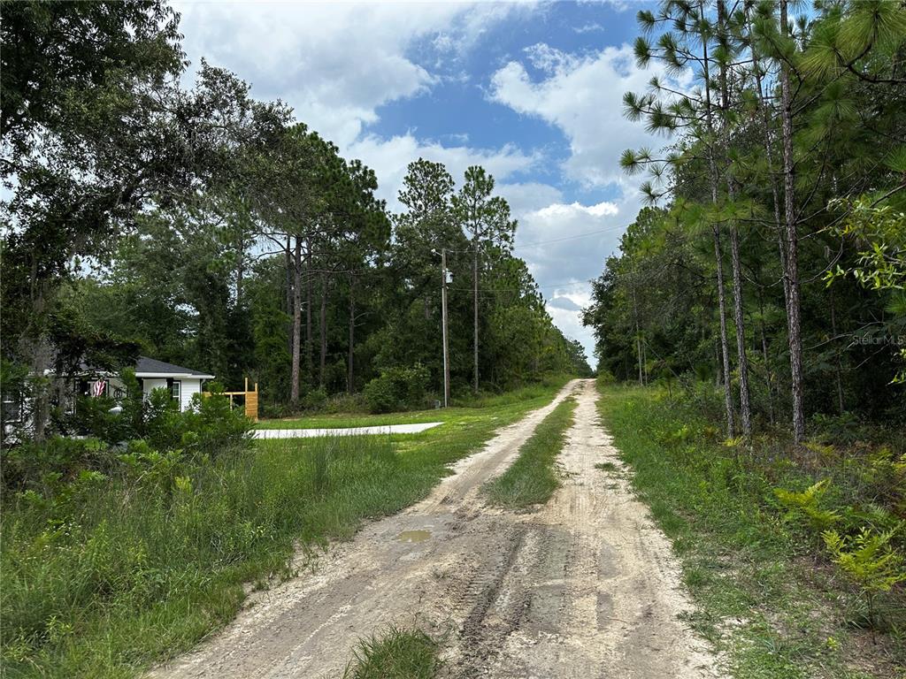 A dirt road leads past a house and into a dense forest under a cloudy sky — TBD NE 15TH LANE, WILLISTON, FL