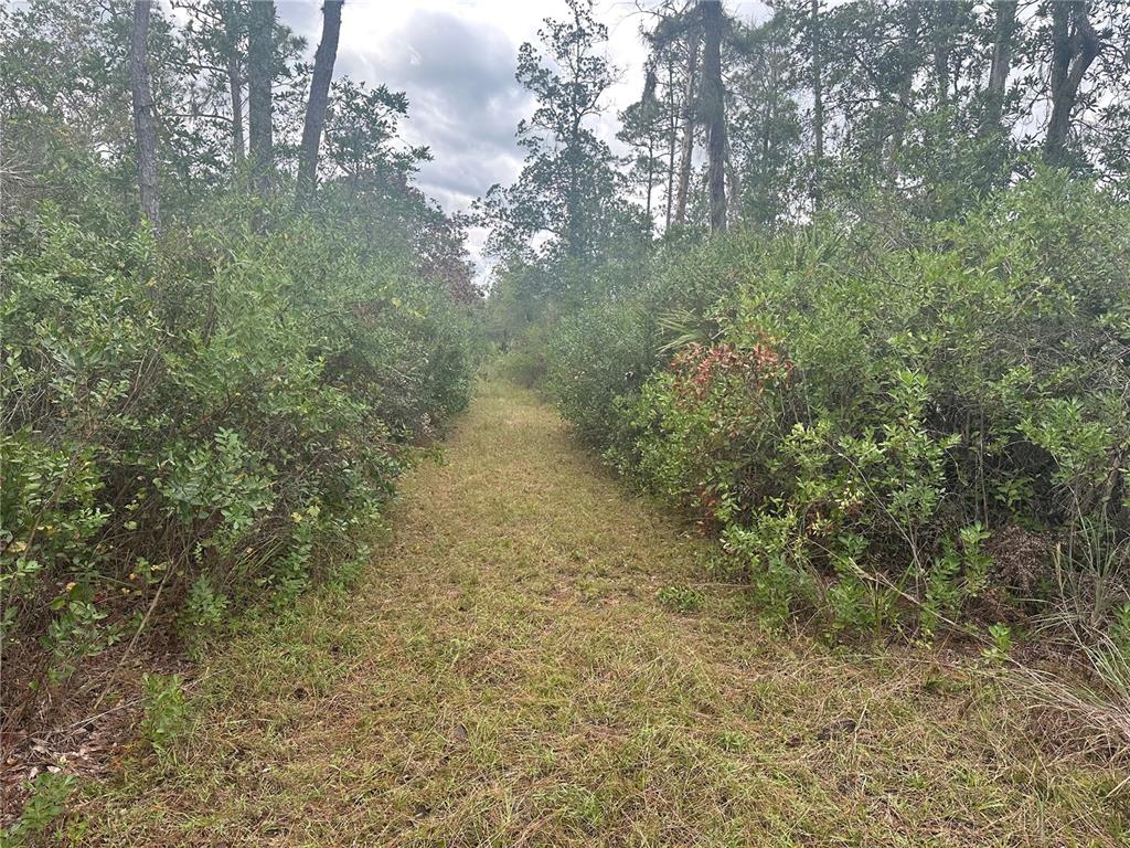 1112 GREENBRIAR DRIVE, CHRISTMAS, FL — photo 3 of 7