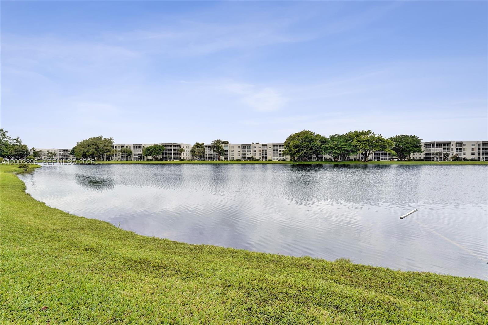 A grassy bank overlooks a lake with apartment buildings in the background — 1530 Whitehall Dr # 302, Davie FL 33324, DAVIE, FL